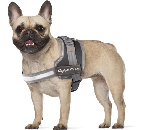 Dog Harness - No Pull Harness for Small Dogs - 51-67cm